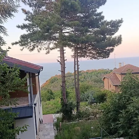 Galata Sea View